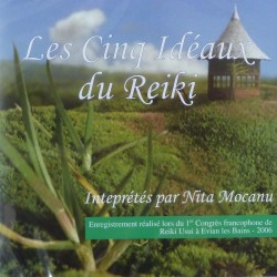 Les 5 idéaux du reiki CD ou Clé USB