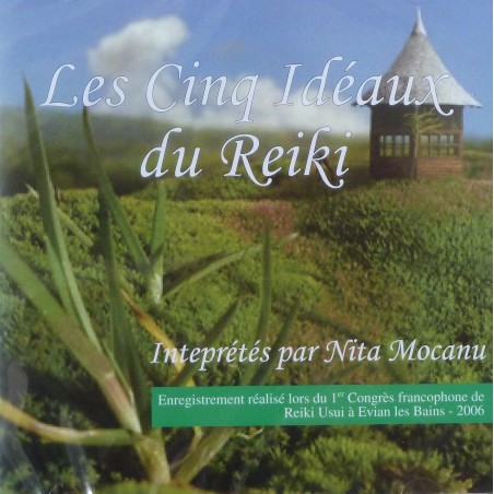 Les 5 idéaux du reiki CD ou Clé USB